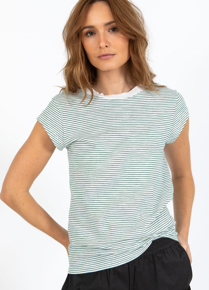 CC Heart CC HEART ELLEN STREEP KORTE MOUWEN T-SHIRT T-Shirt Green stripe - 447