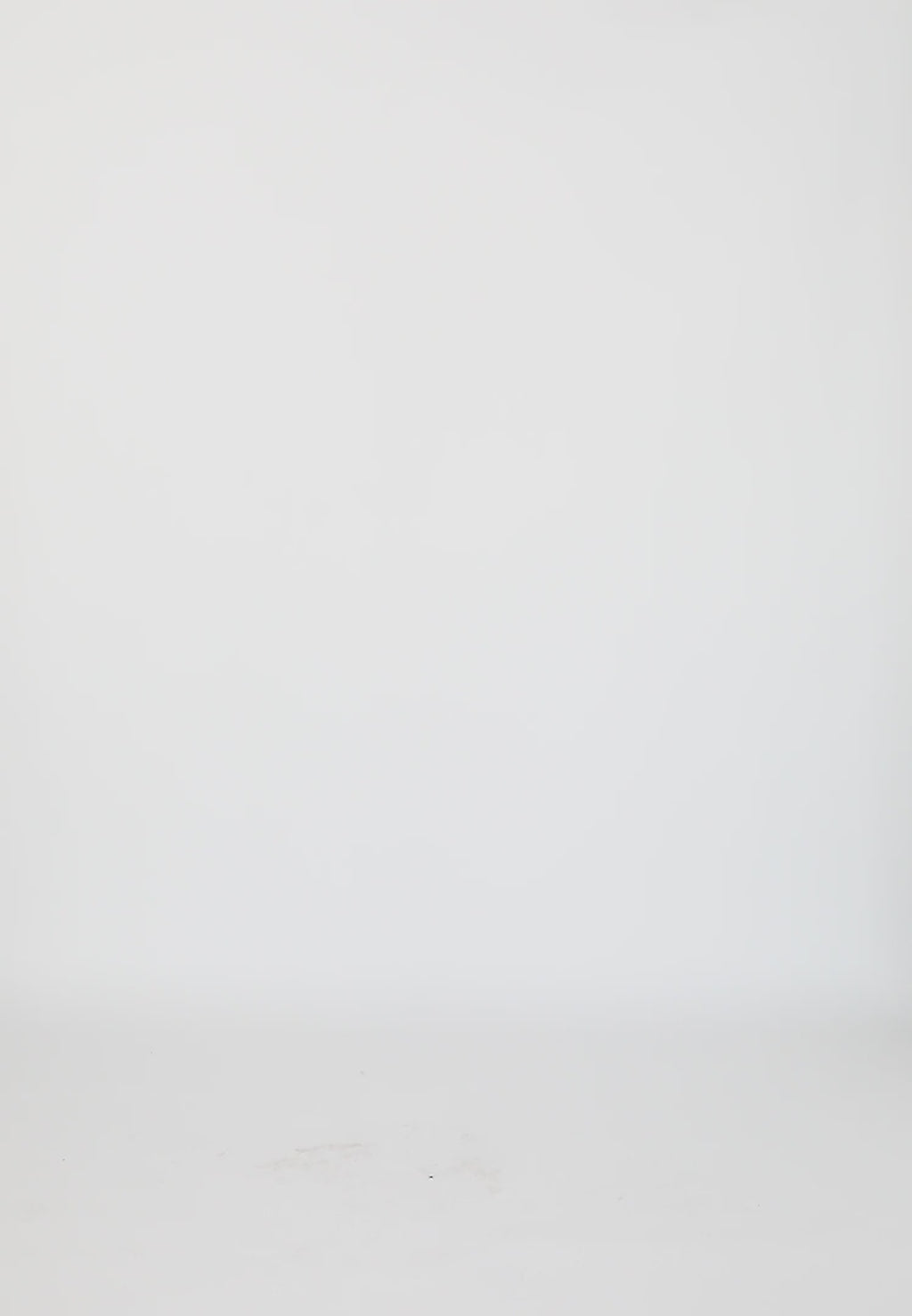 Coster Copenhagen LEEUW HART SHIRT T-Shirt White - 200
