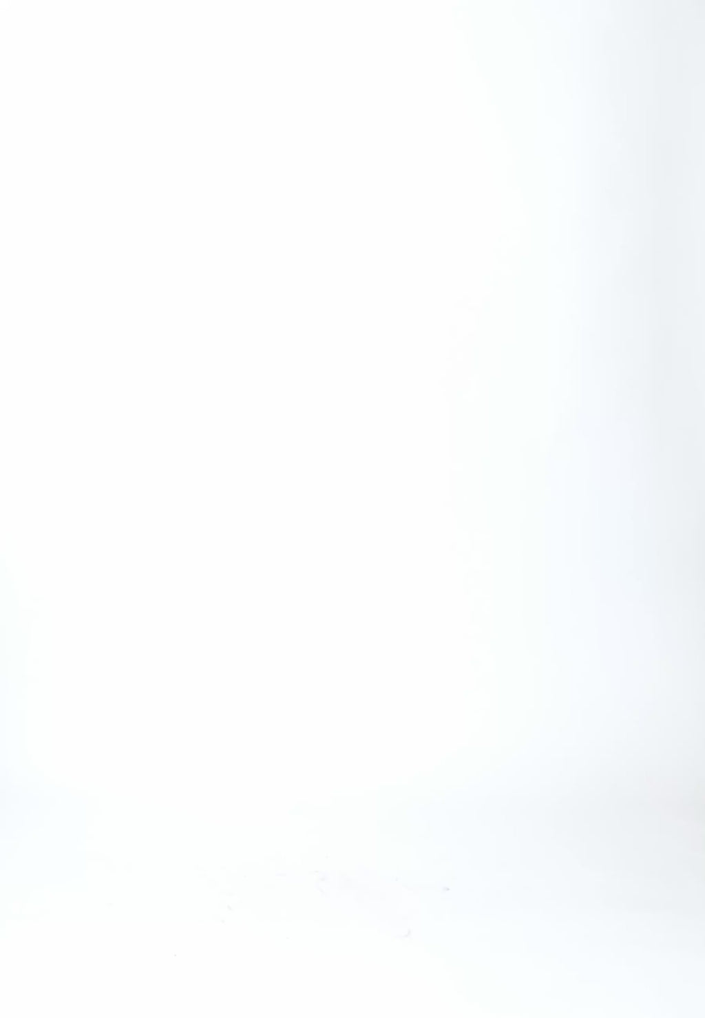 Coster Copenhagen O-HALS TRUI IN ALPACA Knitwear Mocca mousse - 387