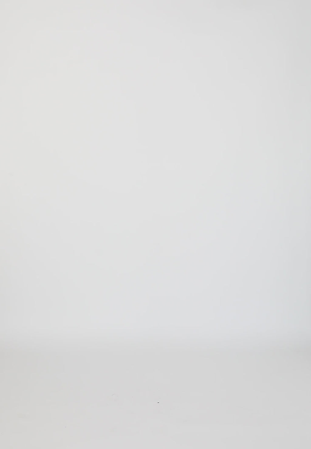 Coster Copenhagen SHIRT MET COSTER HARTPRINT T-Shirt Brown heart / creme - 941