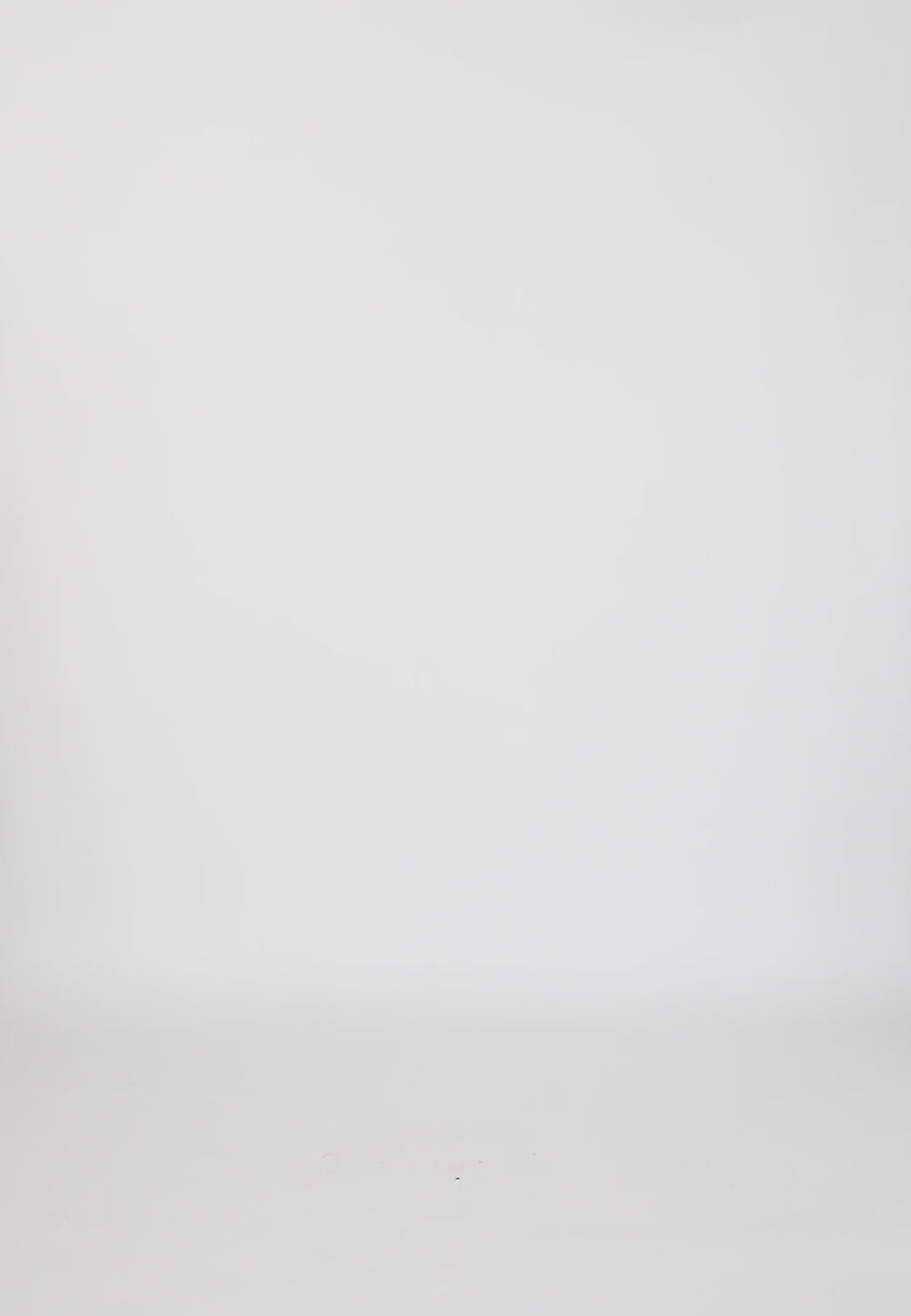 Coster Copenhagen PHOEBE LANGE ROK Skirt White - 200