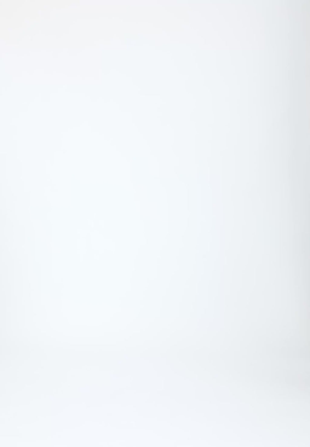 Coster Copenhagen BREDE LOGOGORDEL Accessories Bark brown - 368 (Gold buckle)