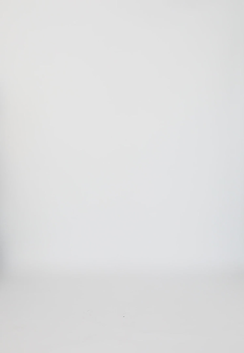 Coster Copenhagen TOP MET BORDUURWERK Shirt/Blouse White - 200