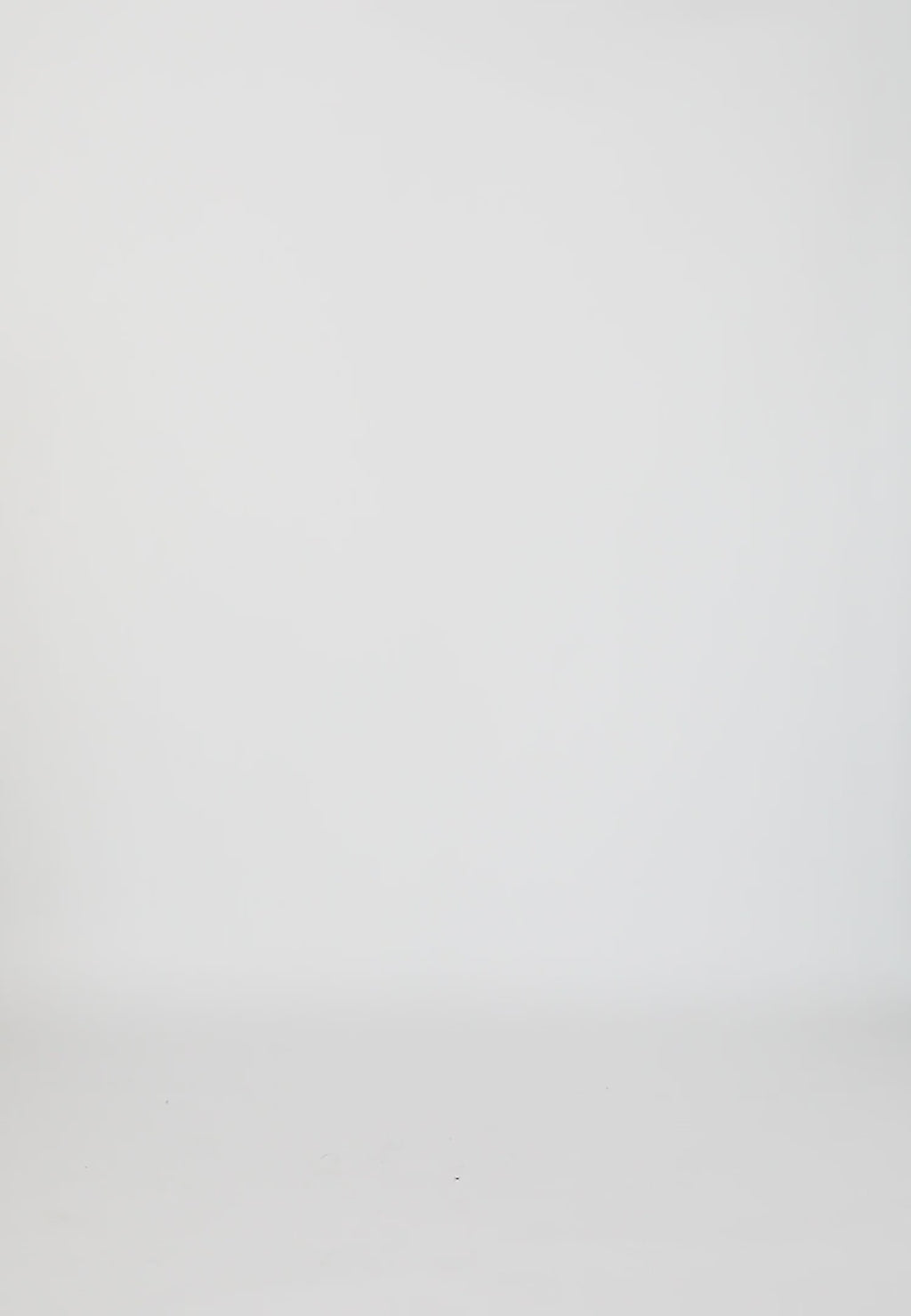 Coster Copenhagen KANTEN PANTALONPAK - PETRA PASVORM Pants Sand lace - 345