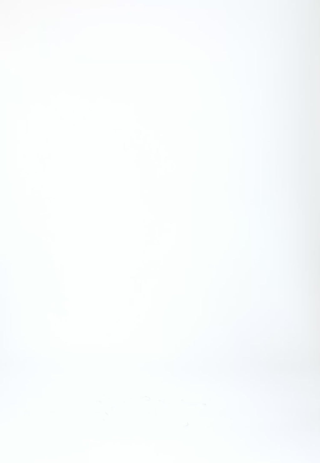 Coster Copenhagen LOGO ELASTISCHE RIEM Accessories Mocca mousse - 387 (gold buckle)