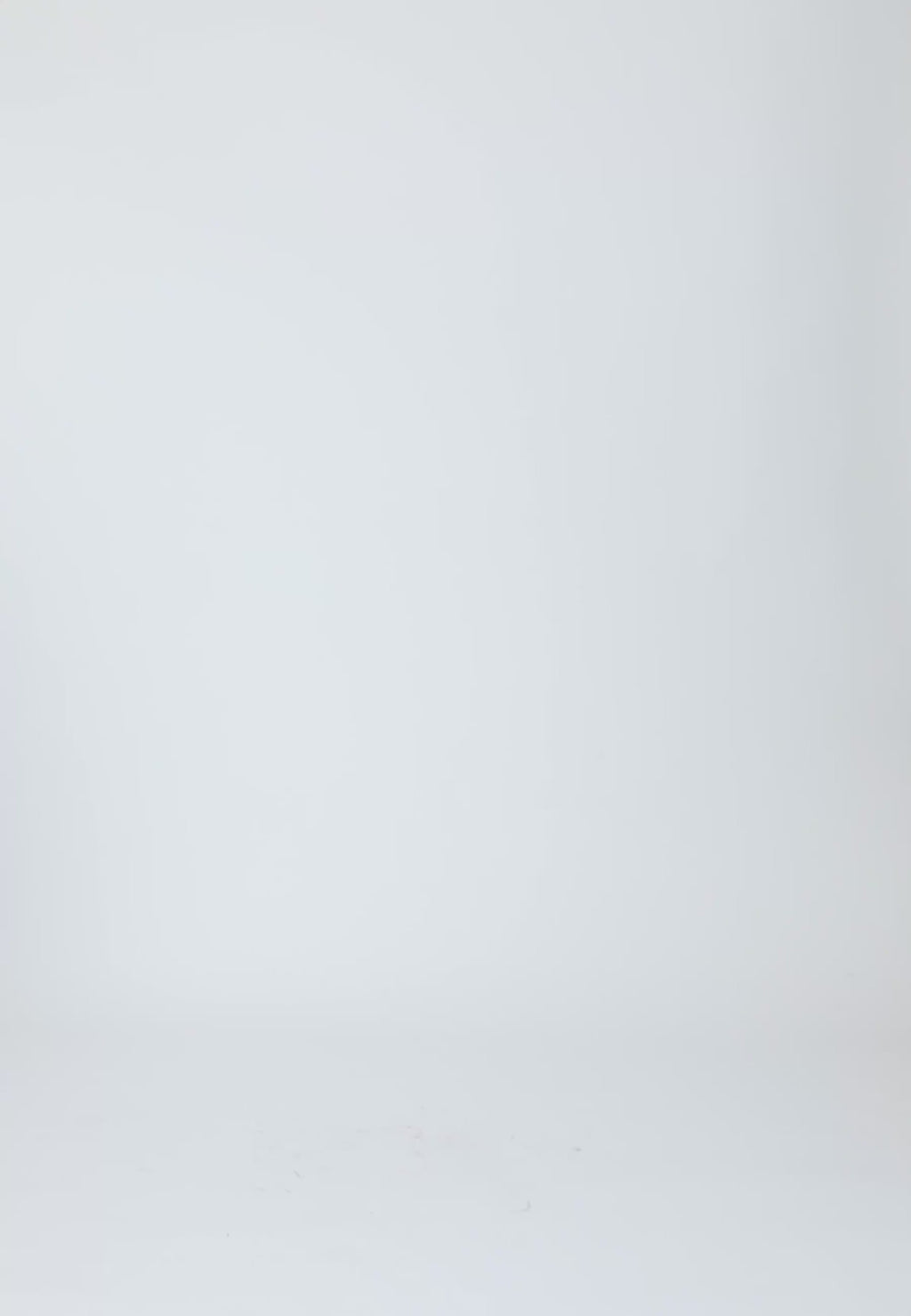 Coster Copenhagen BLOUSE MET RUGPLOOIEN Shirt/Blouse White - 200