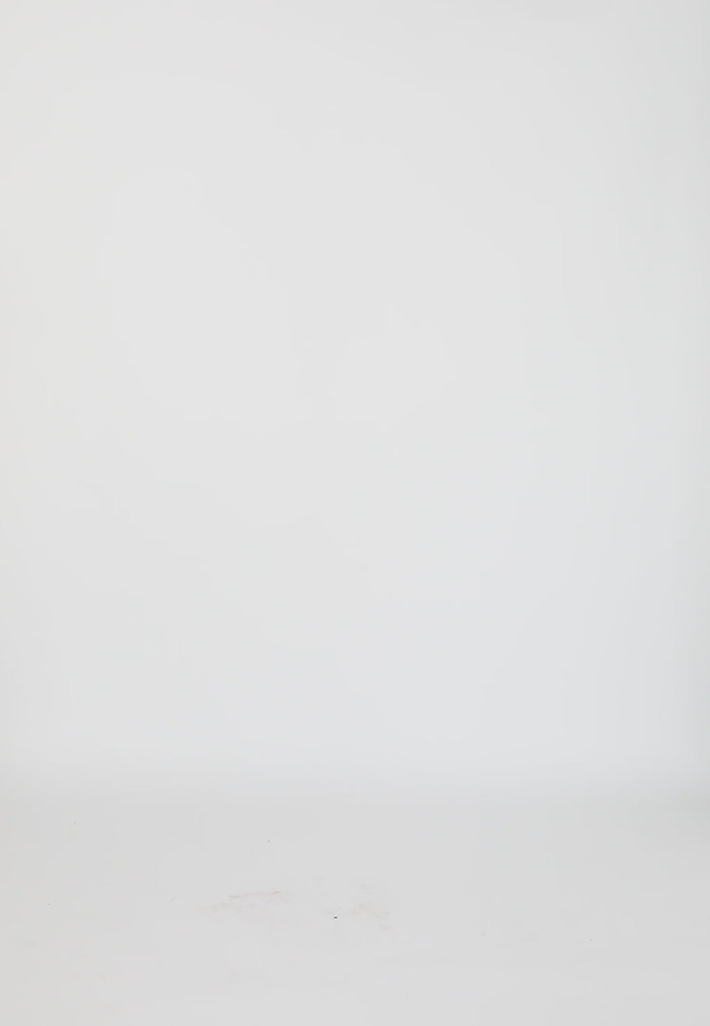 Coster Copenhagen ROK IN BRODERIE ANGLAISE Skirt Moon rock - 137