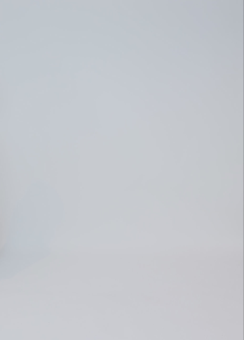 CC Heart CC HEART JAMIE FLEECE VEST Vest Off White - 202