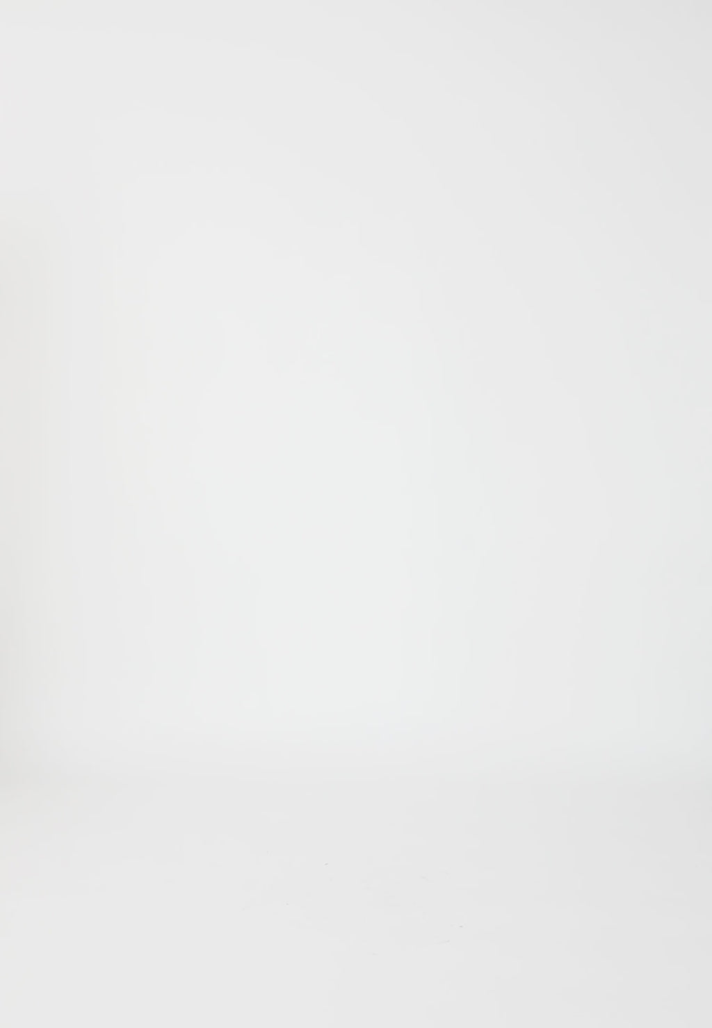 Coster Copenhagen NAUWSLUITEND KLASSIEK OVERHEMD Shirt/Blouse White - 200